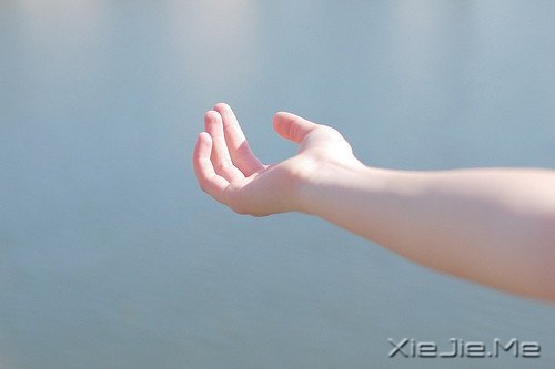 晚安心语：只有想不通的人，没有走不通的路 (7)
