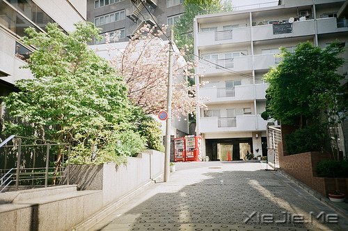 晚安心语：只有想不通的人，没有走不通的路 (12)