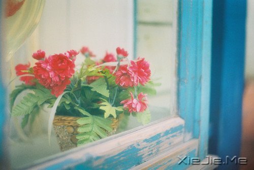晚安心语：与其诅咒黑暗，不如点亮灯火 (1)