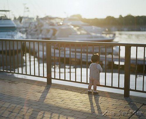 晚安心语：与其诅咒黑暗，不如点亮灯火 (4)