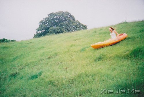 早安心语：安静，也是强大的力量 (3)