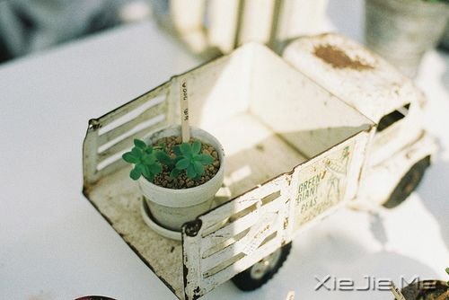 晚安心语：不为昨天而叹息，只为今天更美好 (3)