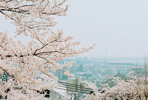 医生和诗人