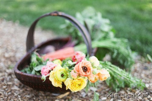 韩寒：这里会长出一朵花