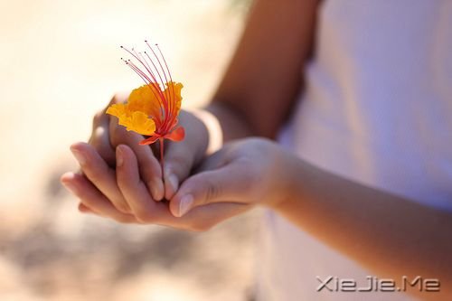 老是觉得自己不如别人怎么办？记住这14句话吧