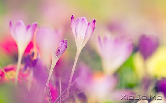 文字：要少做的十件事 (2)