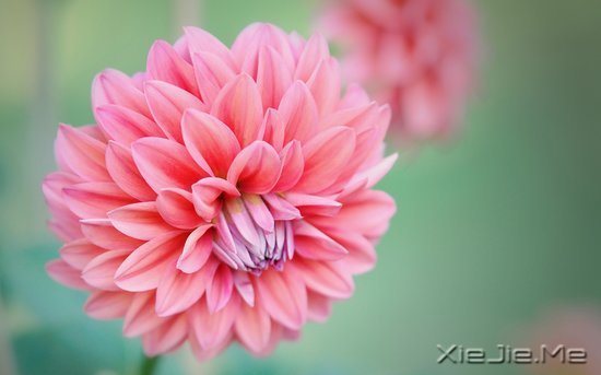 文字：要少做的十件事 (4)