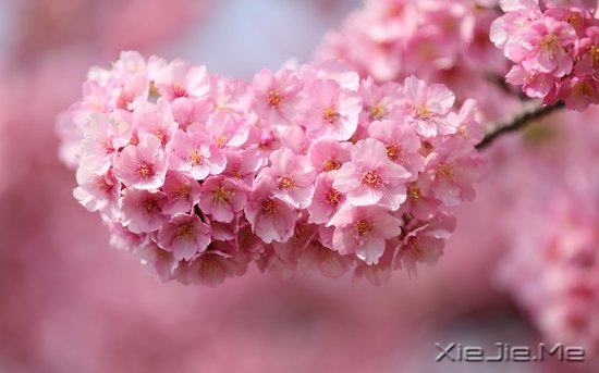 文字：要少做的十件事 (3)
