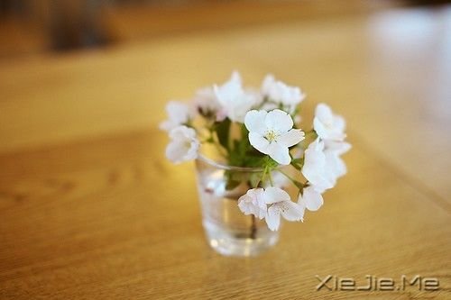 豁达人生必备的8味良药 (3)