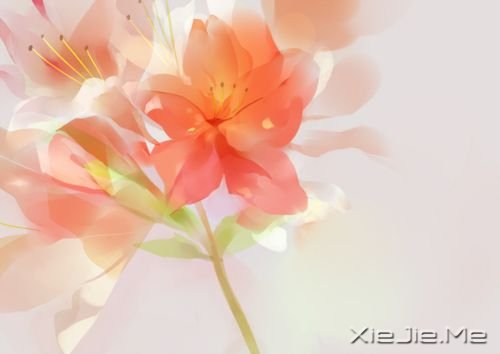 人生路上的50条经典语句 (3)